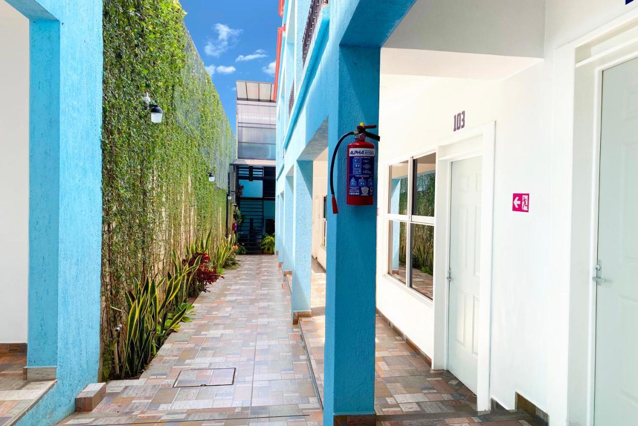 Yabanhi Hostel Oaxaca Zewnętrze zdjęcie